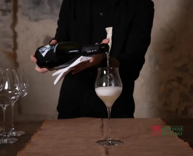 le donne del vino
